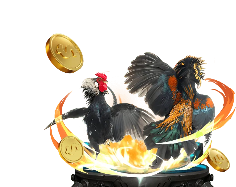 Xổ Số 66 Gold
